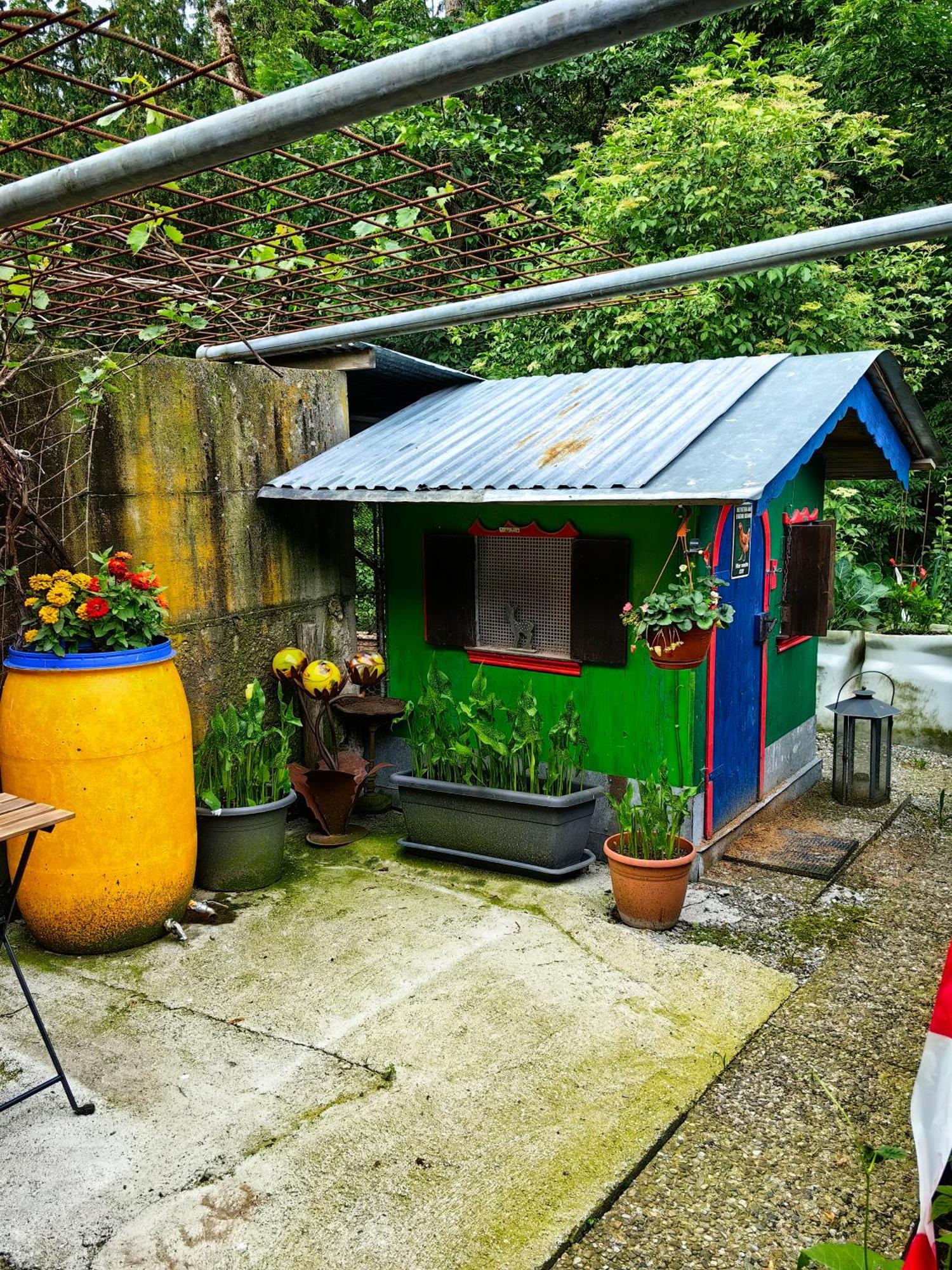 Voegelhof Appartement Doren Buitenkant foto