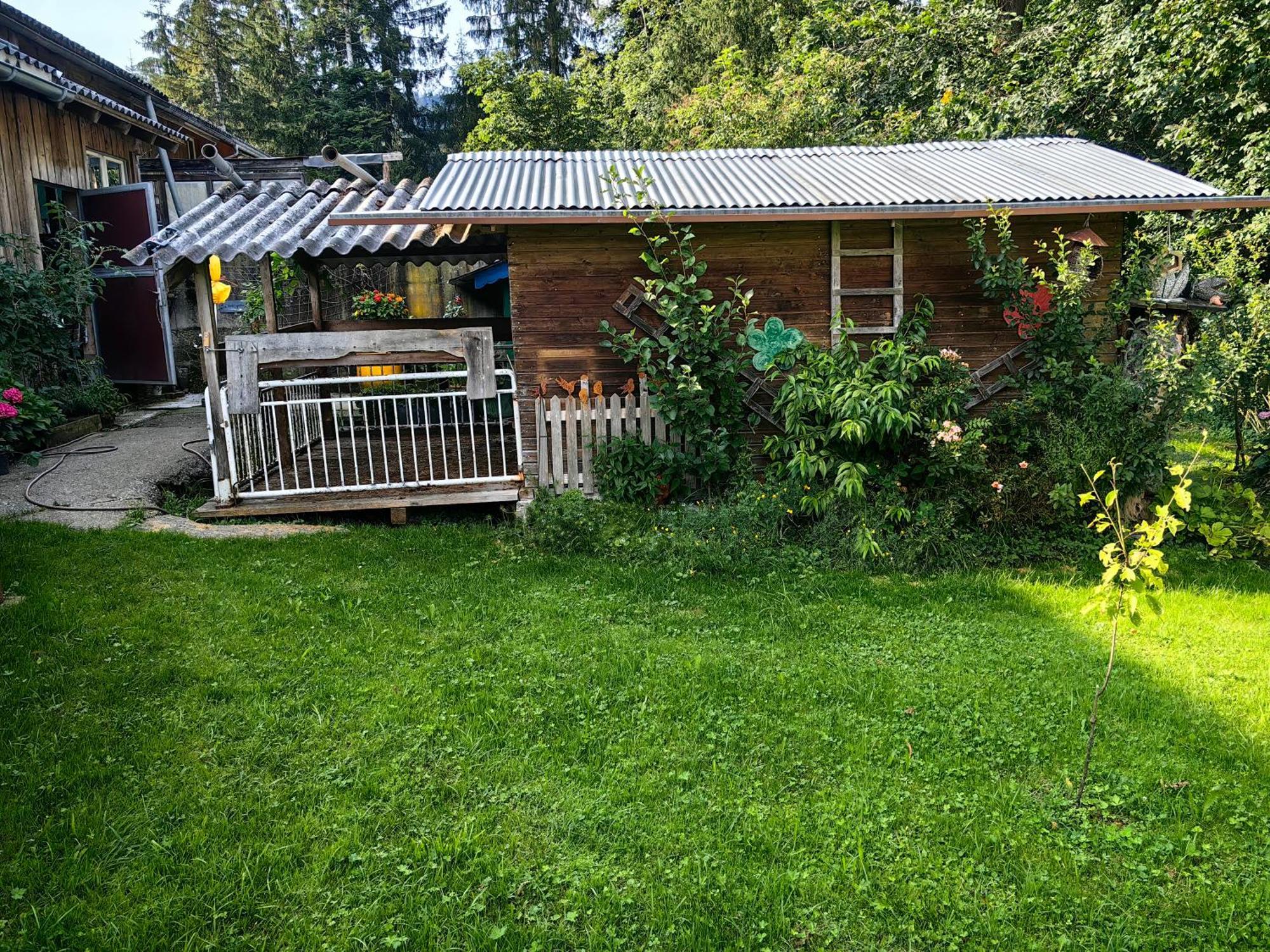 Voegelhof Appartement Doren Buitenkant foto