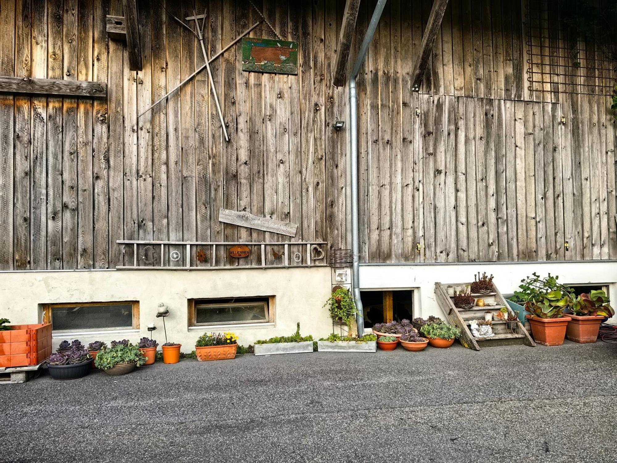 Voegelhof Appartement Doren Buitenkant foto