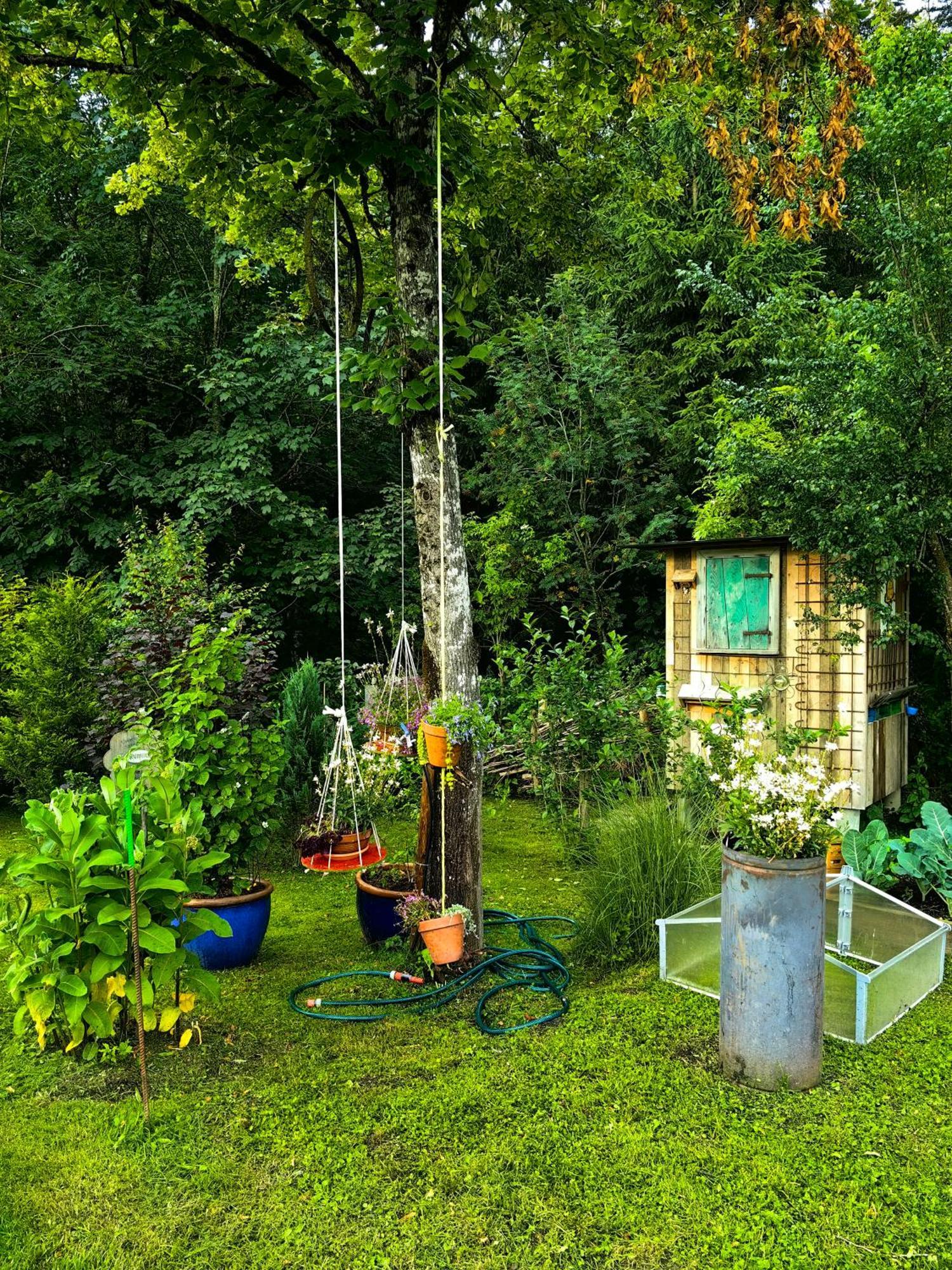 Voegelhof Appartement Doren Buitenkant foto