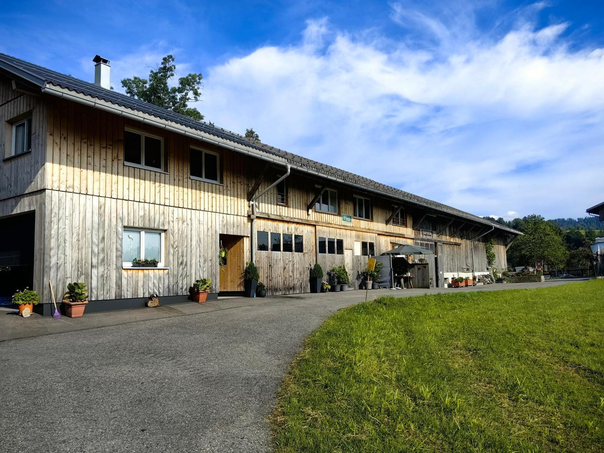 Voegelhof Appartement Doren Buitenkant foto